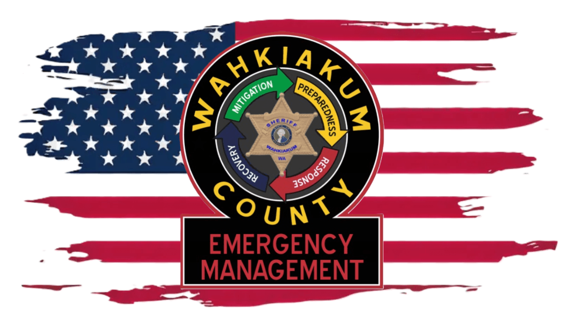 DEM logo with flag background